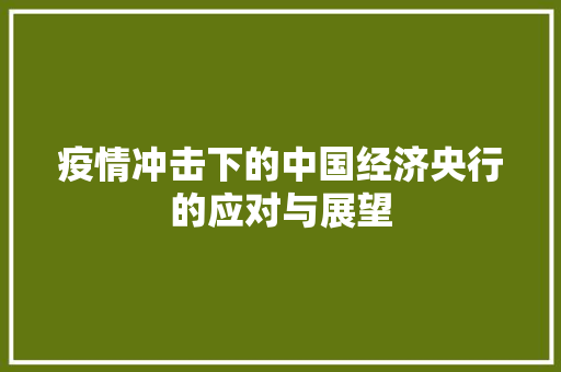 疫情冲击下的中国经济央行的应对与展望 疫情冲击下的中国经济央行的应对与展望