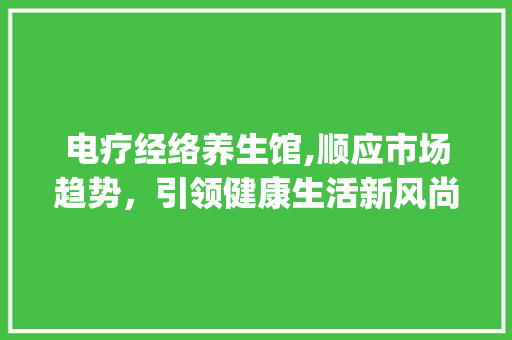 电疗经络养生馆,顺应市场趋势,引领健康生活新风尚_电疗经络养生馆市场趋势 电疗经络养生馆,顺应市场趋势,引领健康生活新风尚_电疗经络养生馆市场趋势