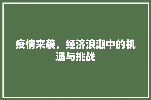 疫情来袭,经济浪潮中的机遇与挑战 疫情来袭,经济浪潮中的机遇与挑战