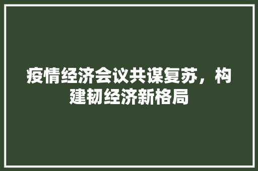 疫情经济会议共谋复苏,构建韧经济新格局 疫情经济会议共谋复苏,构建韧经济新格局