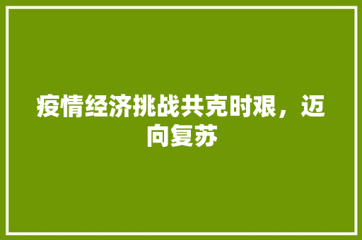 疫情经济挑战共克时艰,迈向复苏 疫情经济挑战共克时艰,迈向复苏