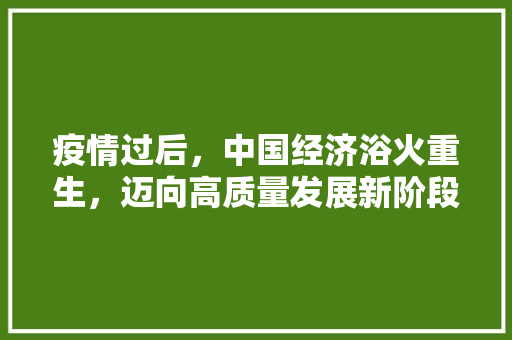 疫情过后,中国经济浴火重生,迈向高质量发展新阶段 疫情过后,中国经济浴火重生,迈向高质量发展新阶段