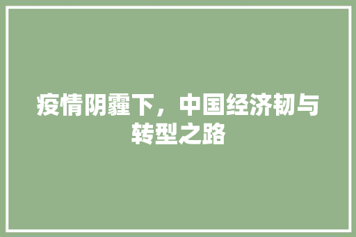 疫情阴霾下,中国经济韧与转型之路 疫情阴霾下,中国经济韧与转型之路
