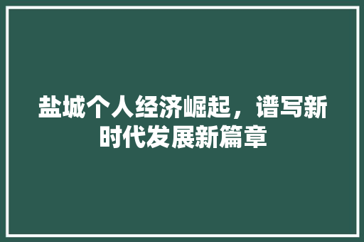 盐城个人经济崛起，谱写新时代发展新篇章