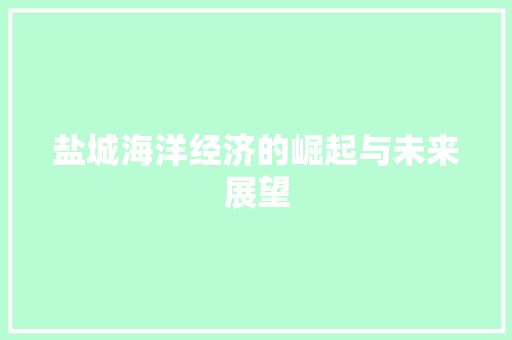 盐城海洋经济的崛起与未来展望 盐城海洋经济的崛起与未来展望