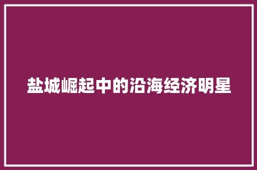 盐城崛起中的沿海经济明星 盐城崛起中的沿海经济明星