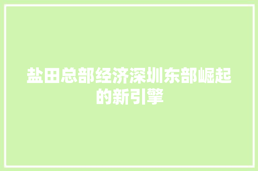 盐田总部经济深圳东部崛起的新引擎 盐田总部经济深圳东部崛起的新引擎
