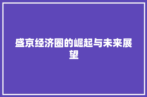 盛京经济圈的崛起与未来展望 盛京经济圈的崛起与未来展望