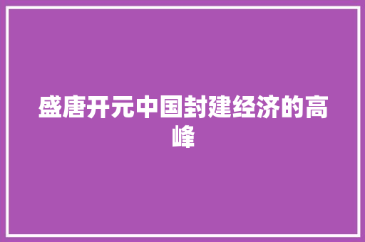 盛唐开元中国封建经济的高峰 盛唐开元中国封建经济的高峰