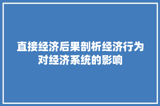 直接经济后果剖析经济行为对经济系统的影响 直接经济后果剖析经济行为对经济系统的影响