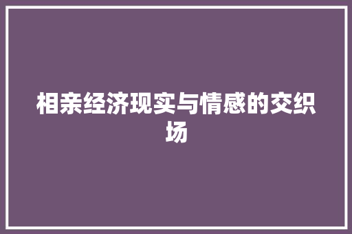 相亲经济现实与情感的交织场 相亲经济现实与情感的交织场