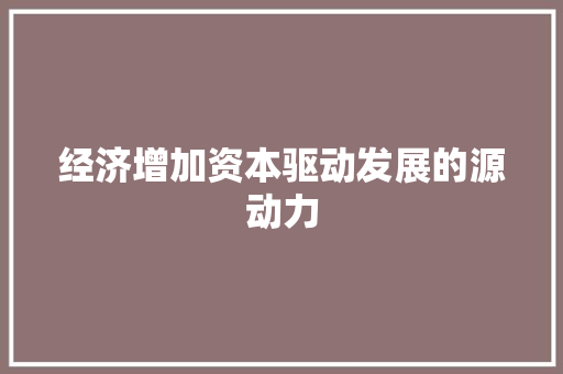 经济增加资本驱动发展的源动力 经济增加资本驱动发展的源动力