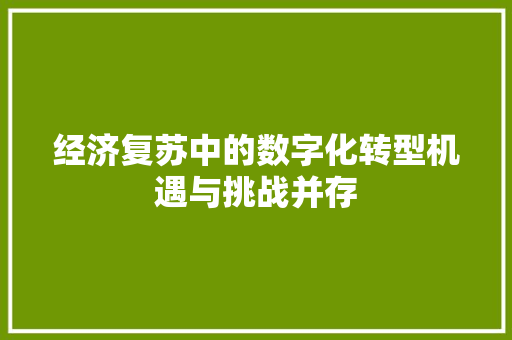 经济复苏中的数字化转型机遇与挑战并存 经济复苏中的数字化转型机遇与挑战并存