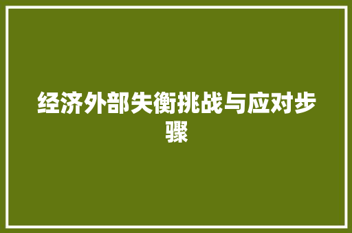 经济外部失衡挑战与应对步骤 经济外部失衡挑战与应对步骤