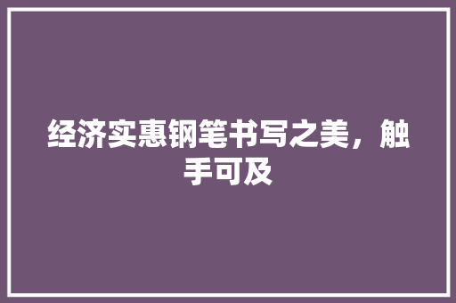 经济实惠钢笔书写之美,触手可及 经济实惠钢笔书写之美,触手可及