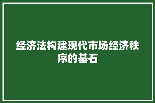 经济法构建现代市场经济秩序的基石 经济法构建现代市场经济秩序的基石