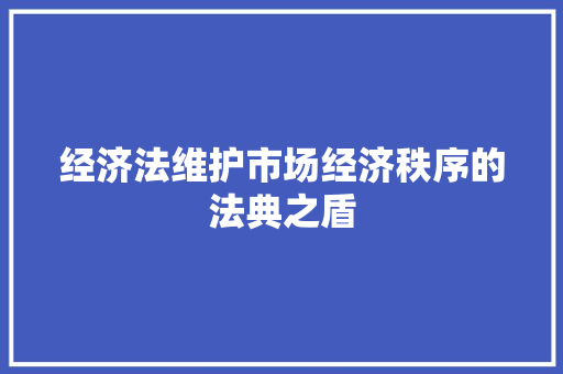 经济法维护市场经济秩序的法典之盾 经济法维护市场经济秩序的法典之盾