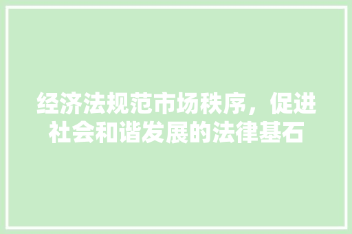 经济法规范市场秩序,促进社会和谐发展的法律基石 经济法规范市场秩序,促进社会和谐发展的法律基石