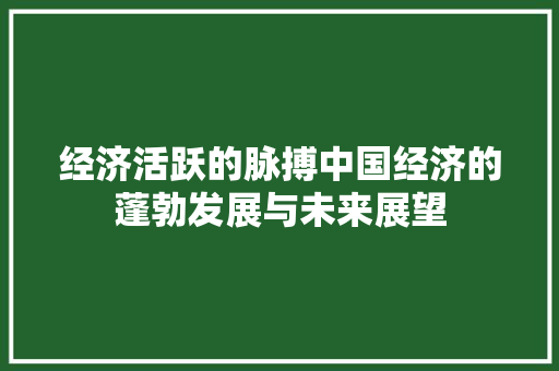 经济活跃的脉搏中国经济的蓬勃发展与未来展望