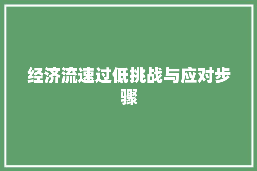 经济流速过低挑战与应对步骤 经济流速过低挑战与应对步骤