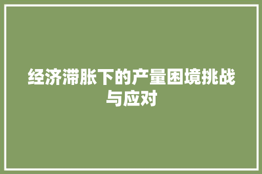 经济滞胀下的产量困境挑战与应对 经济滞胀下的产量困境挑战与应对