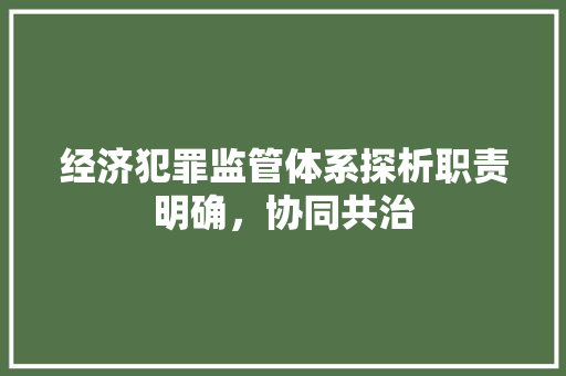 经济犯罪监管体系探析职责明确,协同共治 经济犯罪监管体系探析职责明确,协同共治