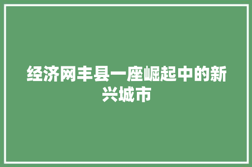 经济网丰县一座崛起中的新兴城市 经济网丰县一座崛起中的新兴城市