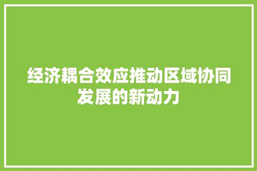 经济耦合效应推动区域协同发展的新动力 经济耦合效应推动区域协同发展的新动力