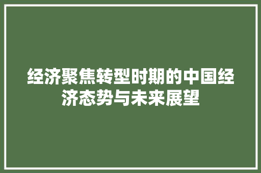 经济聚焦转型时期的中国经济态势与未来展望 经济聚焦转型时期的中国经济态势与未来展望