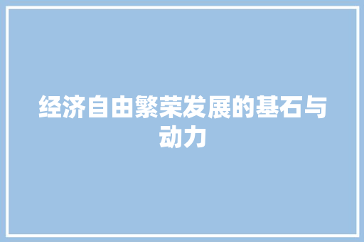 经济自由繁荣发展的基石与动力 经济自由繁荣发展的基石与动力