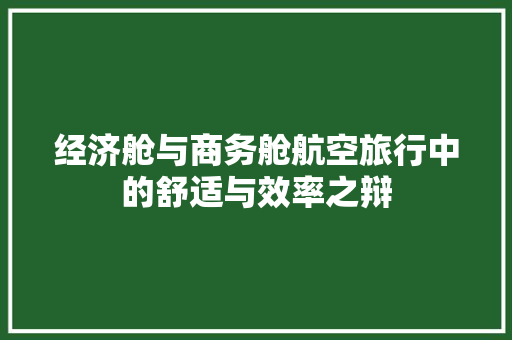 经济舱与商务舱航空旅行中的舒适与效率之辩 经济舱与商务舱航空旅行中的舒适与效率之辩