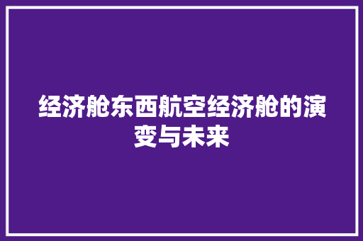 经济舱东西航空经济舱的演变与未来 经济舱东西航空经济舱的演变与未来