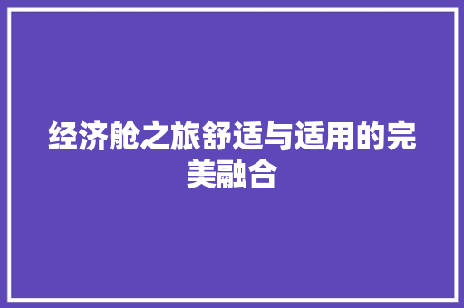 经济舱之旅舒适与适用的完美融合 经济舱之旅舒适与适用的完美融合