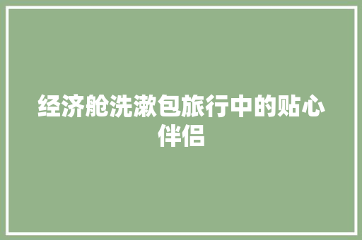 经济舱洗漱包旅行中的贴心伴侣