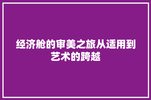 经济舱的审美之旅从适用到艺术的跨越 经济舱的审美之旅从适用到艺术的跨越