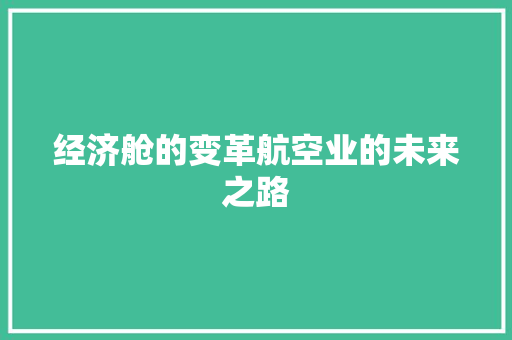 经济舱的变革航空业的未来之路 经济舱的变革航空业的未来之路