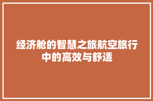 经济舱的智慧之旅航空旅行中的高效与舒适 经济舱的智慧之旅航空旅行中的高效与舒适