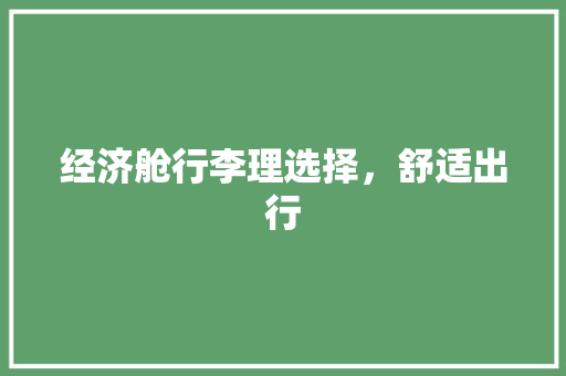 经济舱行李理选择,舒适出行 经济舱行李理选择,舒适出行