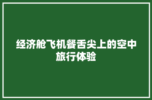 经济舱飞机餐舌尖上的空中旅行体验 经济舱飞机餐舌尖上的空中旅行体验