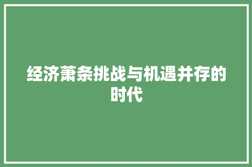 经济萧条挑战与机遇并存的时代