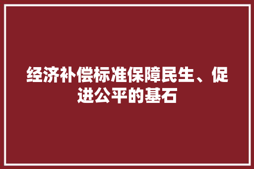 经济补偿标准保障民生、促进公平的基石 经济补偿标准保障民生、促进公平的基石