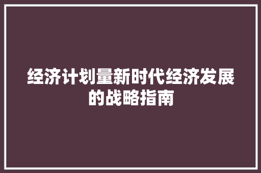 经济计划量新时代经济发展的战略指南 经济计划量新时代经济发展的战略指南