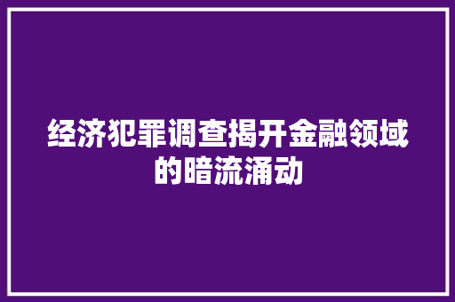 经济犯罪调查揭开金融领域的暗流涌动 经济犯罪调查揭开金融领域的暗流涌动