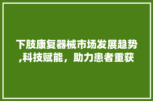 下肢康复器械市场发展趋势,科技赋能，助力患者重获健康人生_下肢康复器械市场趋势分析
