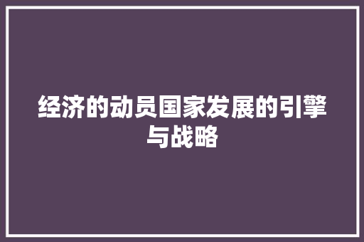 经济的动员国家发展的引擎与战略 经济的动员国家发展的引擎与战略