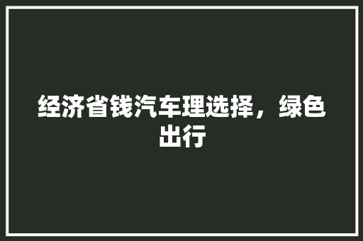 经济省钱汽车理选择,绿色出行 经济省钱汽车理选择,绿色出行