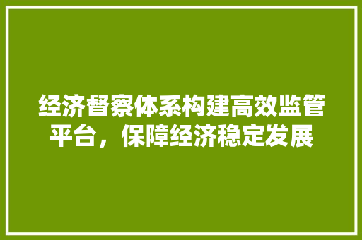 经济督察体系构建高效监管平台,保障经济稳定发展 经济督察体系构建高效监管平台,保障经济稳定发展