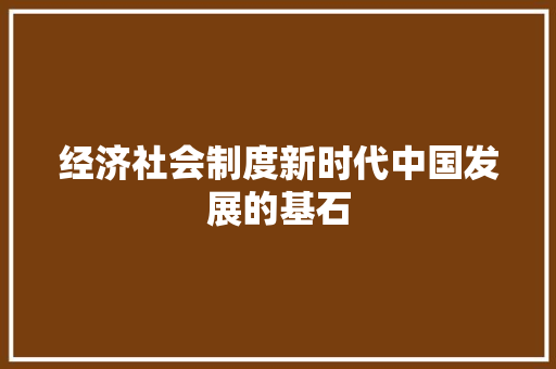 经济社会制度新时代中国发展的基石 经济社会制度新时代中国发展的基石