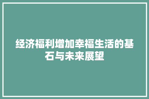 经济福利增加幸福生活的基石与未来展望 经济福利增加幸福生活的基石与未来展望