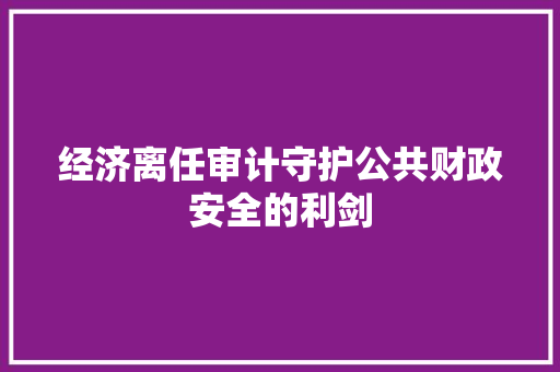 经济离任审计守护公共财政安全的利剑 经济离任审计守护公共财政安全的利剑